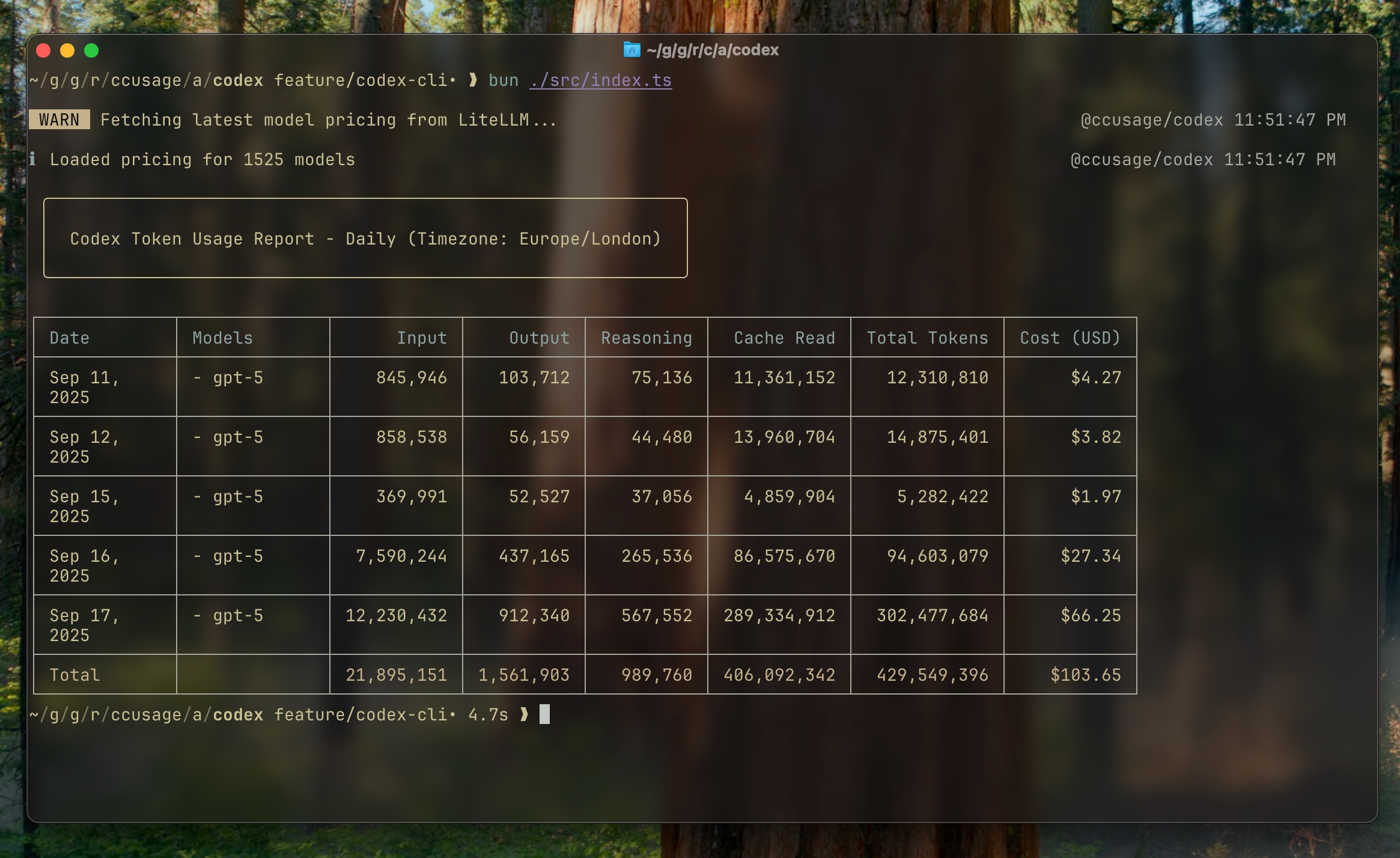Codex CLI daily report